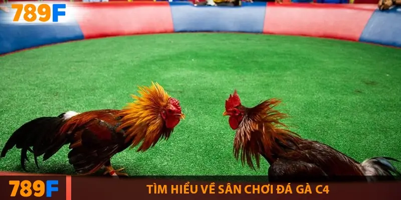 Tìm hiểu về sân chơi đá gà C4
