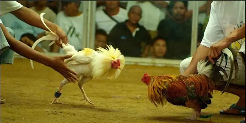 Theo dõi để biết kết quả